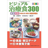 ビジュアル治療食300